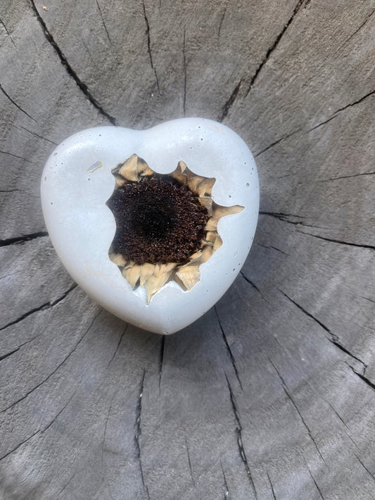 Sunflower Concrete Heart