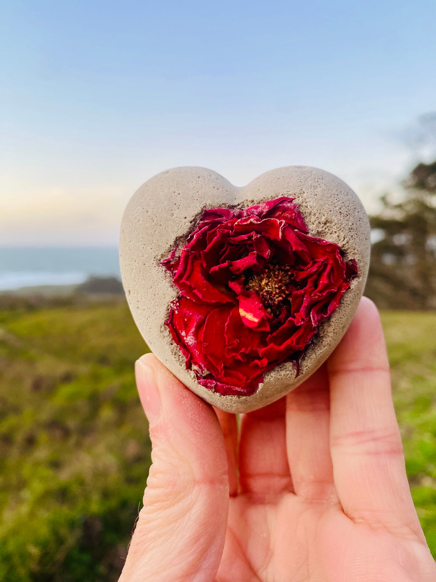 Petrified Dried Red Rose Love Valentine Heart